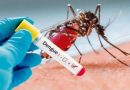 Dengue: Município registra 43 casos positivos e mais de 230 notificações