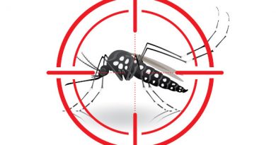 Dengue: Município contabiliza 211 casos da doença (de janeiro até início de agosto)