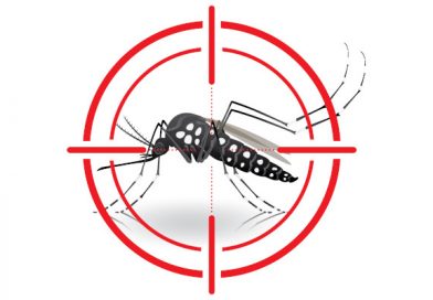 Dengue: Município contabiliza 211 casos da doença (de janeiro até início de agosto)