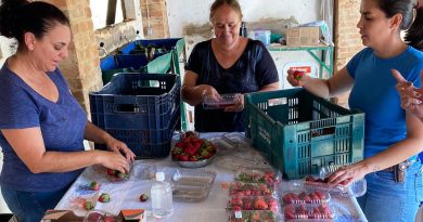 Conhecimento e formação: Sindicato Rural divulga cursos gratuitos que serão promovidos em fevereiro