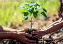 36ª Campanha de Conscientização Ecológica (Rádio Notícia FM 92,7) será sábado, 20/09