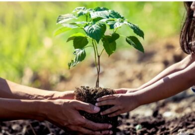 36ª Campanha de Conscientização Ecológica (Rádio Notícia FM 92,7) será sábado, 20/09