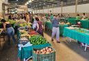 Feira do Produtor: Tradicional e completa, ela acontece aos domingos a partir das 4h00