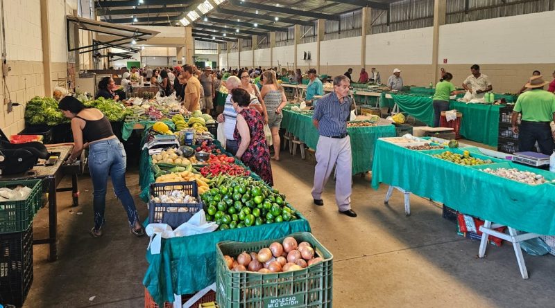 Feira do Produtor: Tradicional e completa, ela acontece aos domingos a partir das 4h00