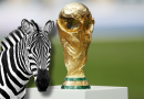 A Crônica da Semana: As ‘zebras’ da Copa – Elas ‘amarraram o amor na chuteira’!