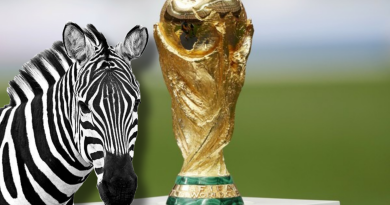 A Crônica da Semana: As ‘zebras’ da Copa – Elas ‘amarraram o amor na chuteira’!