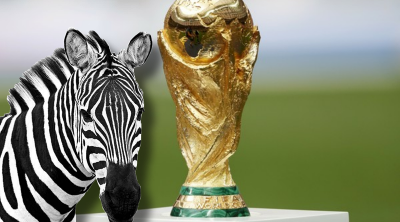 A Crônica da Semana: As ‘zebras’ da Copa – Elas ‘amarraram o amor na chuteira’!