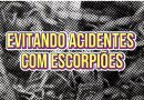 Centro de Controle de Zoonoses divulga informações à prevenção de acidentes e combate aos escorpiões