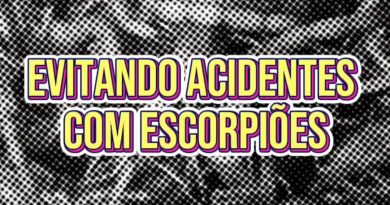 Centro de Controle de Zoonoses divulga informações à prevenção de acidentes e combate aos escorpiões