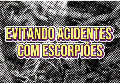 Centro de Controle de Zoonoses divulga informações à prevenção de acidentes e combate aos escorpiões