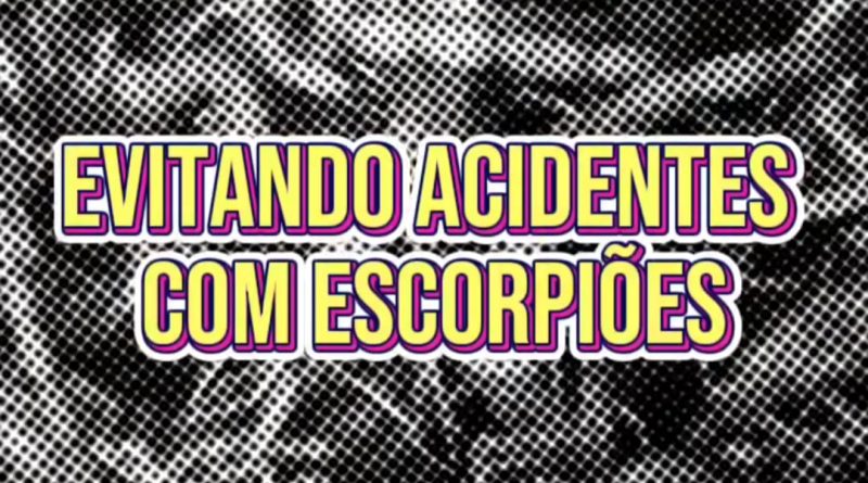 Centro de Controle de Zoonoses divulga informações à prevenção de acidentes e combate aos escorpiões